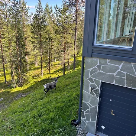 Vaelke - Relax In Style * Pyhätunturi