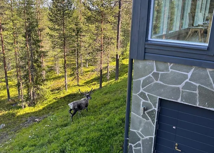 Vaelke - Relax In Style * Pyhätunturi